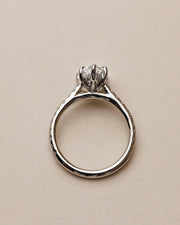 1.0-3.0 CT Pear Lab Grown Diamond Pave Style Engagement Ring