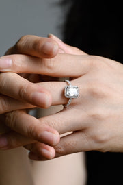 3.0 CT Emerald Cut Halo & Pave Moissanite Engagement Ring