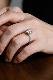 3.0 CT Emerald Cut Halo & Pave Moissanite Engagement Ring