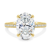 3.0-4.0 CT Oval Moissanite Diamond Hidden Halo & Pave Engagement Ring-Custom Listing For John