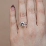 0.96-2.54 CT Cushion Cut Solitaire Pave Moissanite Engagement Ring - Barbara Maison 