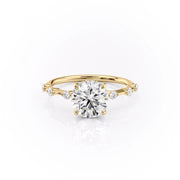 1.60 CT Round Cut Solitaire Dainty Pave Moissanite Engagement Ring - Barbara Maison 