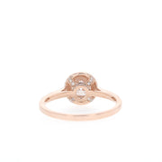 1.0 CT Round Cut Halo & Pave Moissanite Engagement Ring - Barbara Maison 